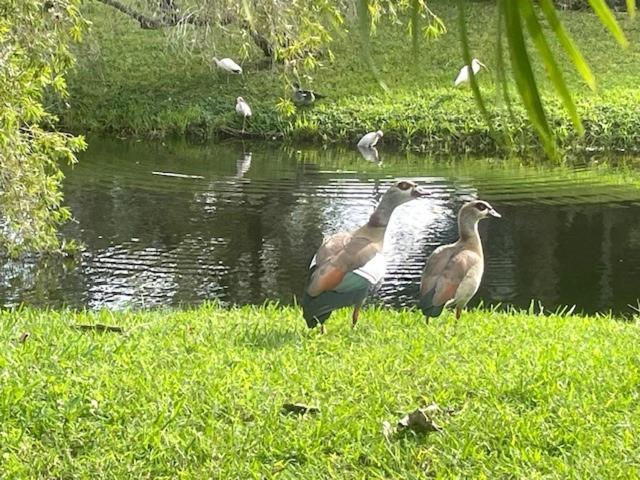 Coastal Townhome In Jupiter 1 Mile To Beach! Buitenkant foto